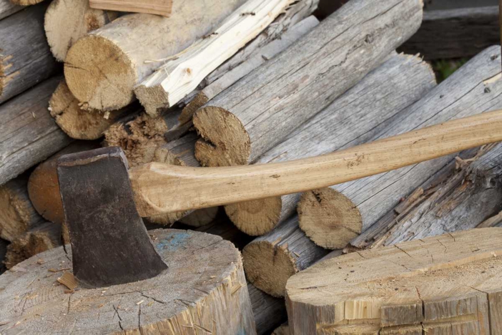 Canada, BC, Fort Steele Axe and woodpile art print by Don Paulson for $57.95 CAD