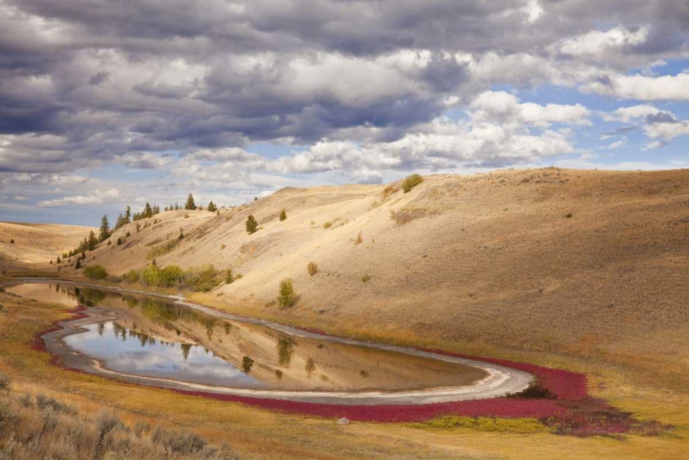 Canada, Kamloops, Lac Du Bois Grasslands Park art print by Don Paulson for $57.95 CAD