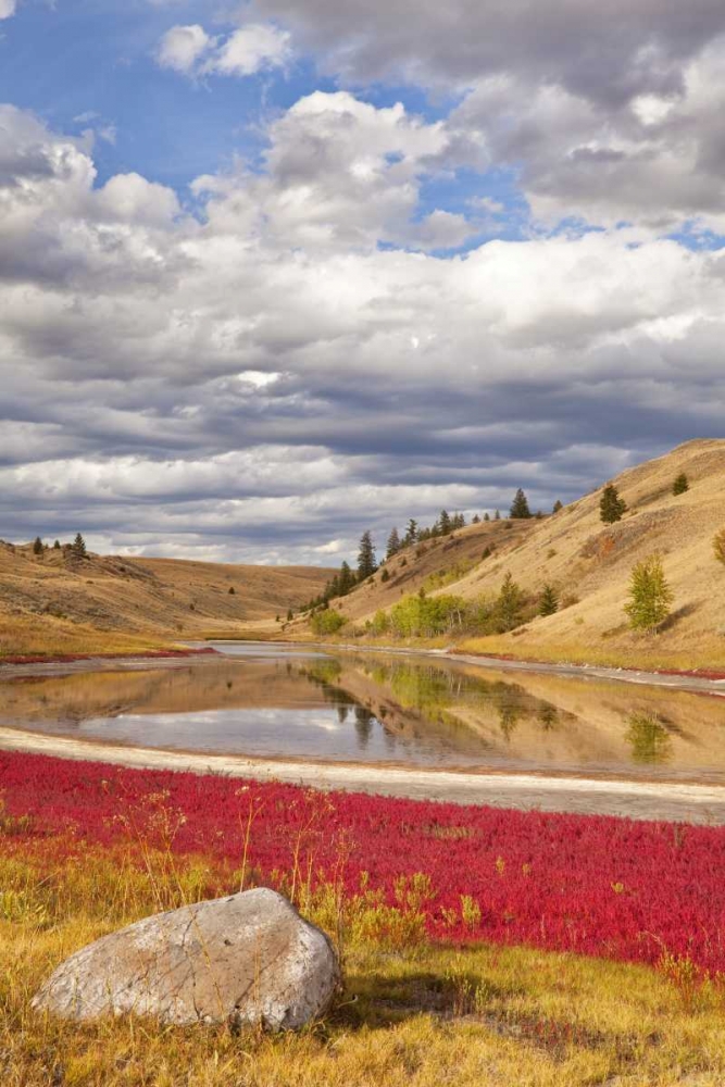 Canada, Kamloops, Lac Du Bois Grasslands Park art print by Don Paulson for $57.95 CAD