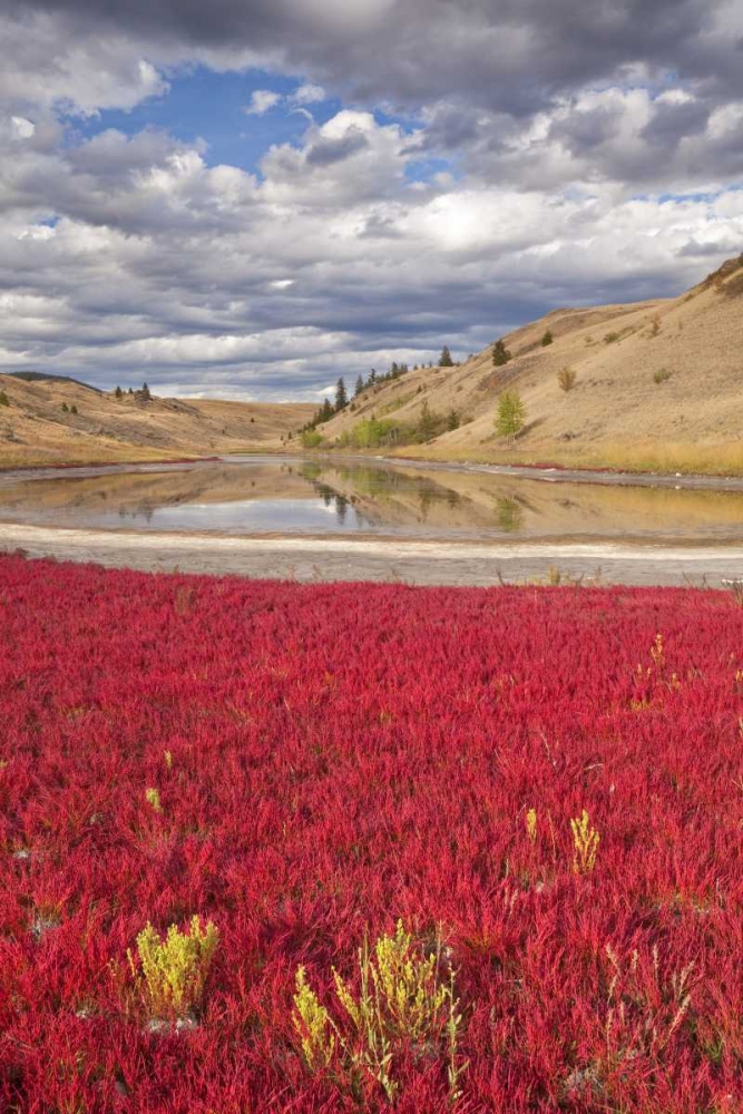 Canada, Kamloops, Lac Du Bois Grasslands Park art print by Don Paulson for $57.95 CAD