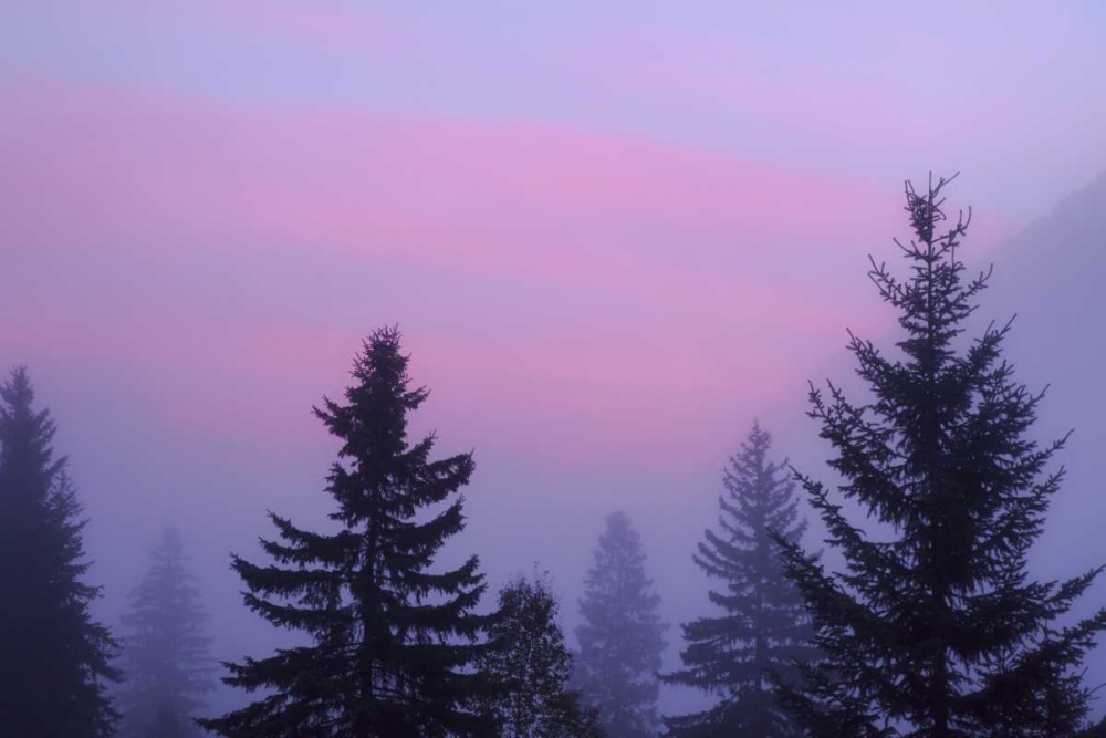 Canada, BC, Mt Robson PP Foggy sunrise scenic art print by Don Paulson for $57.95 CAD
