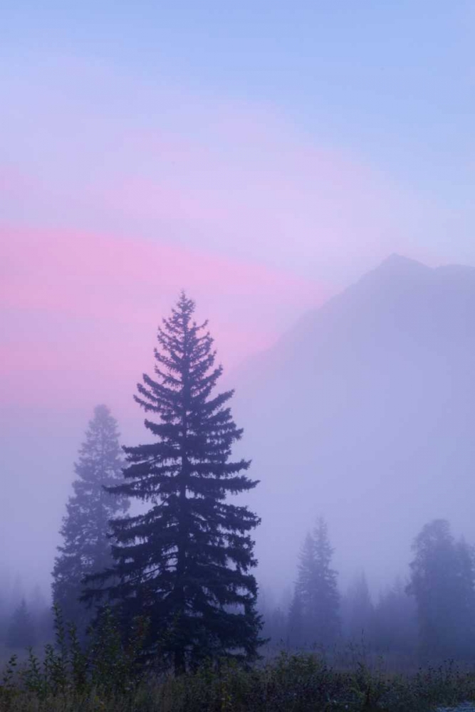 Canada, BC, Mt Robson PP Foggy sunrise scenic art print by Don Paulson for $57.95 CAD