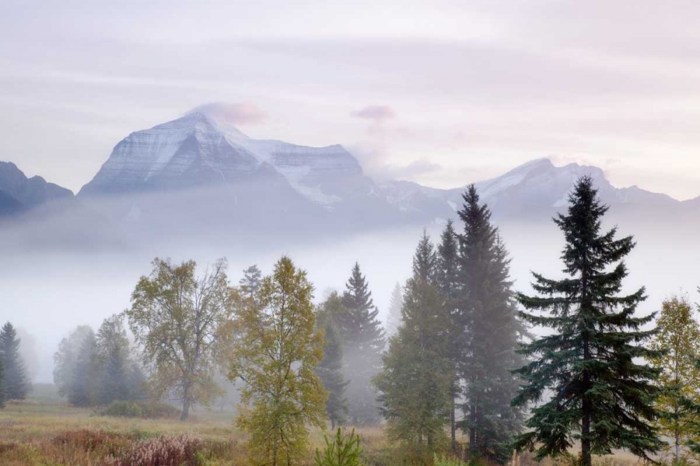 Canada, BC, Mount Robson PP Foggy sunrise art print by Don Paulson for $57.95 CAD