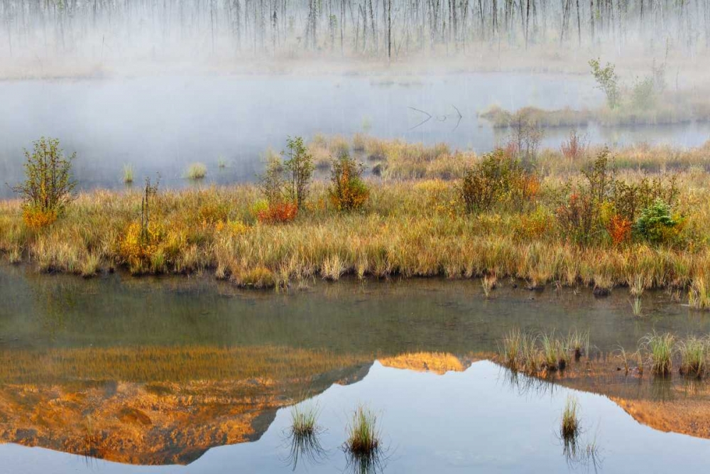 Canada, BC, Mount Robson PP Lake and fog art print by Don Paulson for $57.95 CAD
