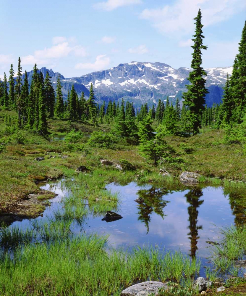 Canada, BC, Vancouver A tarn in the country art print by Christopher Talbot Frank for $57.95 CAD