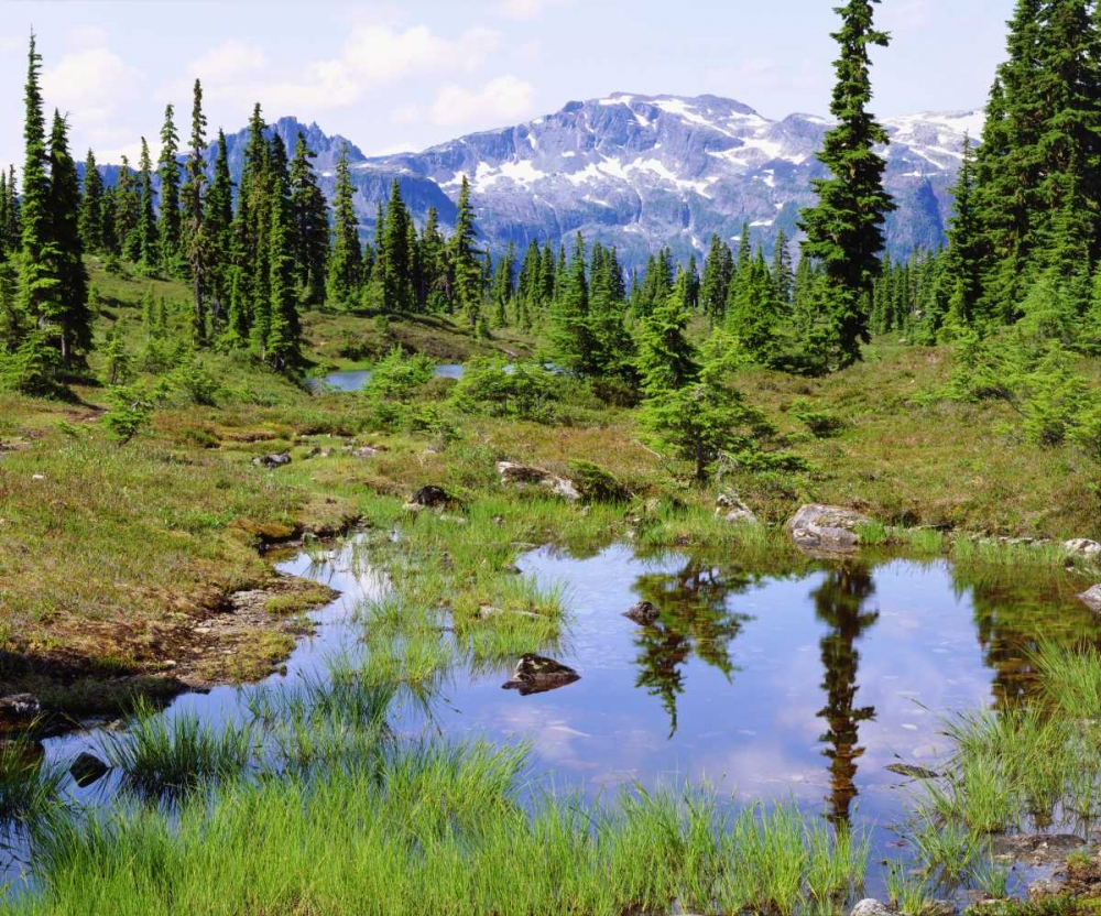 Canada, BC, Vancouver A tarn in the country art print by Christopher Talbot Frank for $57.95 CAD
