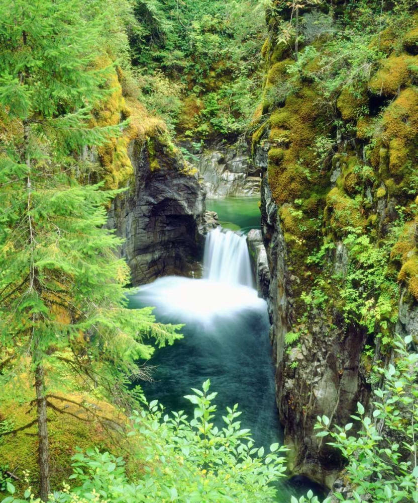 Canada, BC Waterfall on Little Qualicum River art print by Christopher Talbot Frank for $57.95 CAD