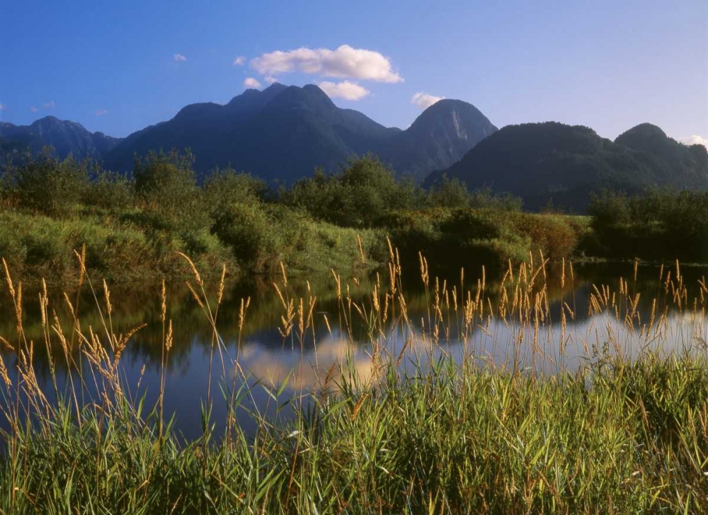 Canada, Pitt Addington Wildlife Management Area art print by Mike Grandmaison for $57.95 CAD