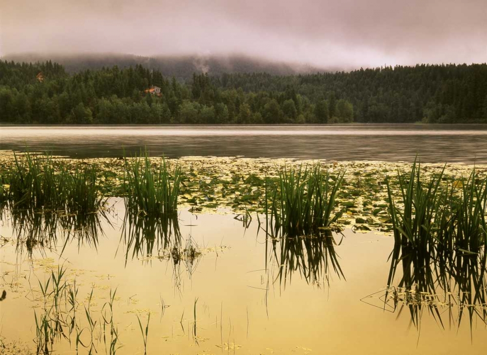 British Columbia Art prints and posters