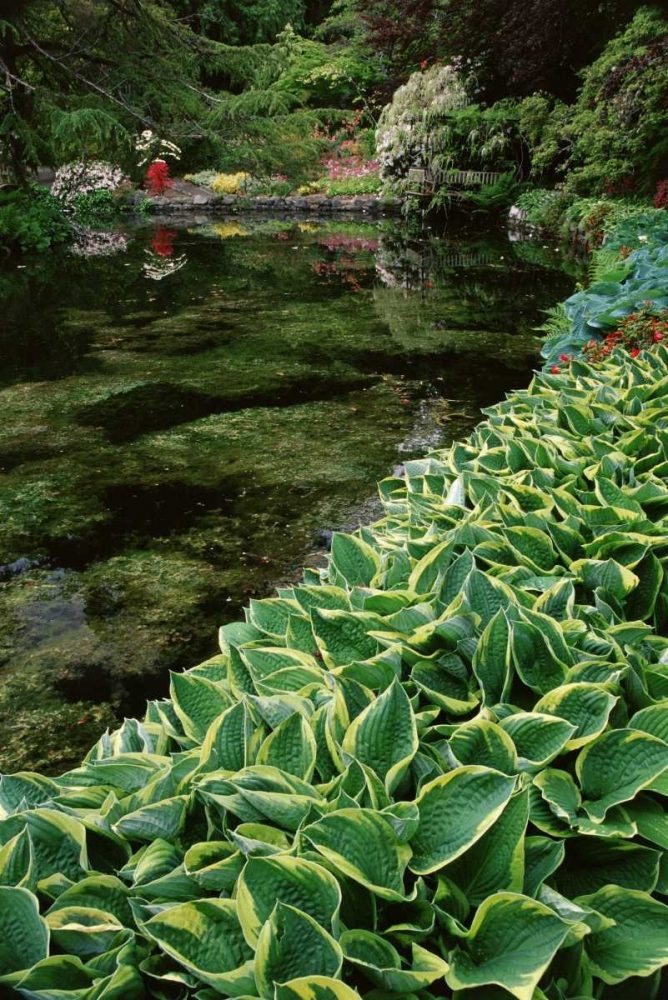 Canada, BC, Victoria Beautiful Garden Scenic art print by Marie Bush for $57.95 CAD