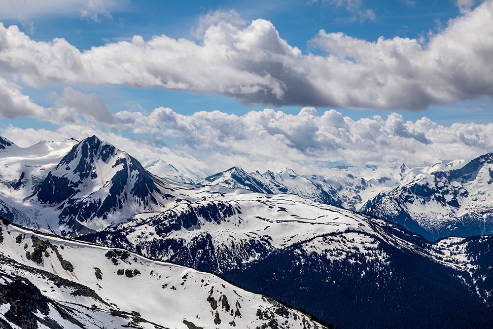Canada-British Columbia-Whistler Fitzsimmons Range in Garibaldi Provincial Park art print by Jaynes Gallery for $57.95 CAD