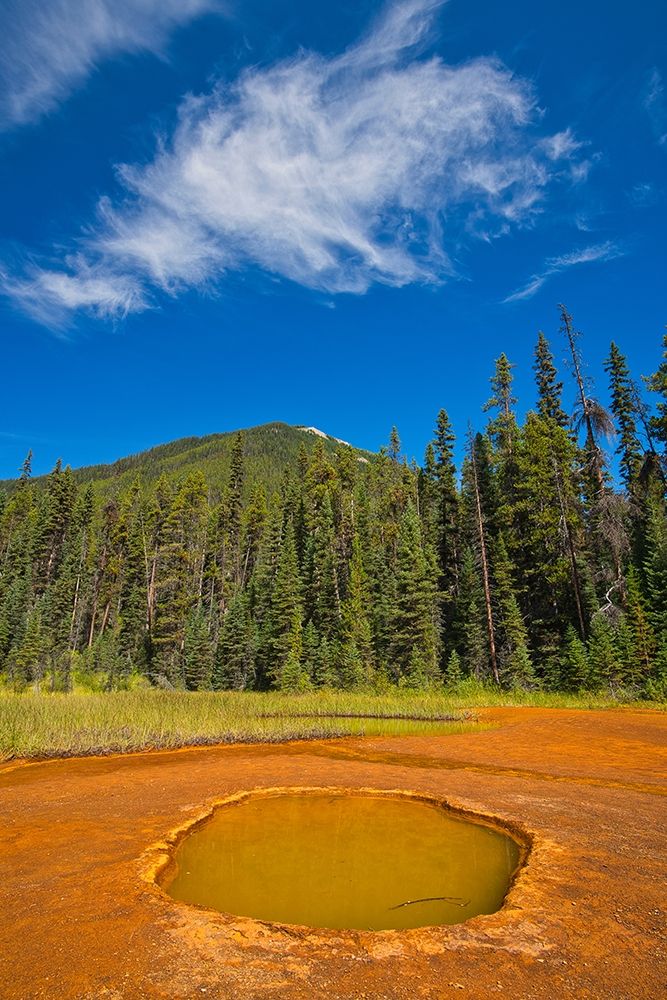 Canada-British Columbia-Kootenay National Park Iron-rich Paint Pots mineral springs stain ground art print by Jaynes Gallery for $57.95 CAD