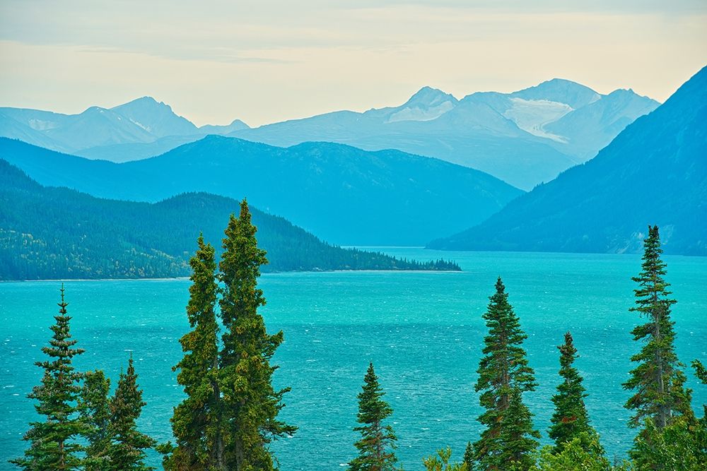 Canada-British Columbia Tutshi Lake and Coast Mountains landscape art print by Jaynes Gallery for $57.95 CAD
