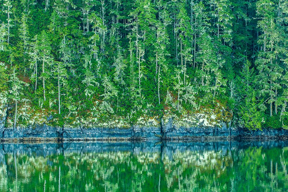 Canada-British Columbia-Inside Passage Forest reflection in water art print by Jaynes Gallery for $57.95 CAD