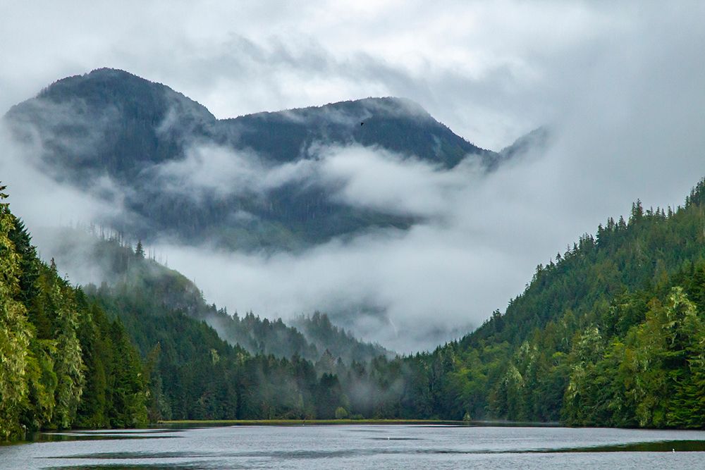 British Columbia Art prints and posters