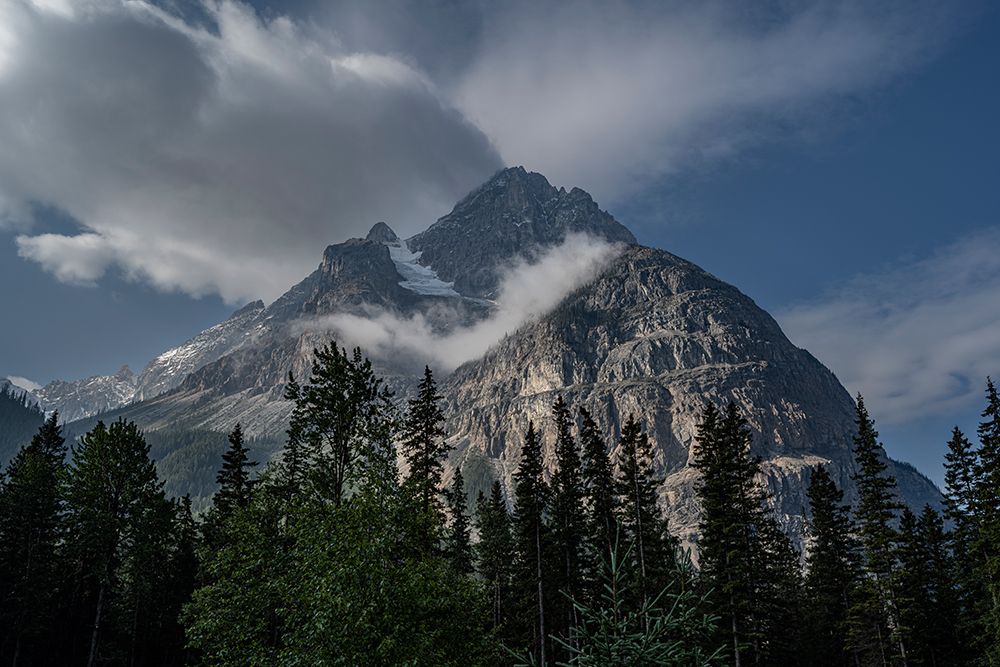 Canada, British Columbia. Mountain, forest and sky, Yoho National Park art print by Howie Garber for $57.95 CAD