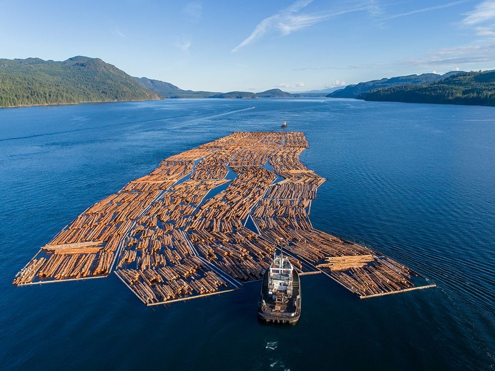 Canada-British Columbia-Campbell River-Aerial view of tugboat pushing boom of freshly cut logs art print by Paul Souders for $57.95 CAD