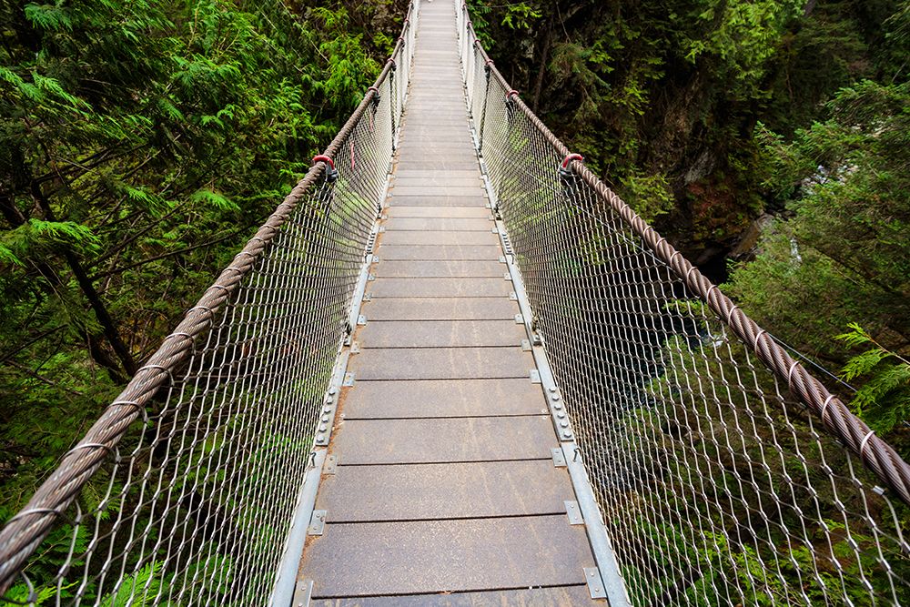 Lynn Canyon Suspension Bridge, North Vancouver, British Columbia, Canada. art print by Rob Casey for $57.95 CAD