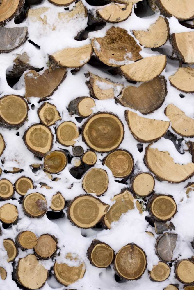 Canada, Churchill Stack of frozen cut fire wood art print by Wendy Kaveney for $57.95 CAD
