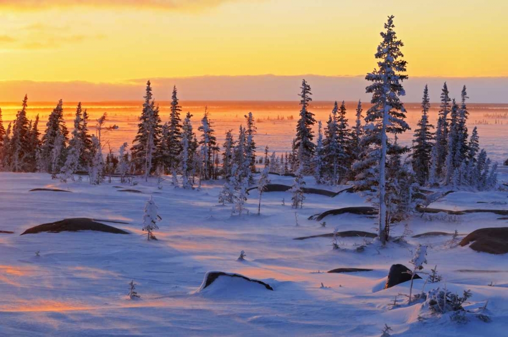 Canada, Churchill, Hudson Bay Sunrise on tundra art print by Mike Grandmaison for $57.95 CAD