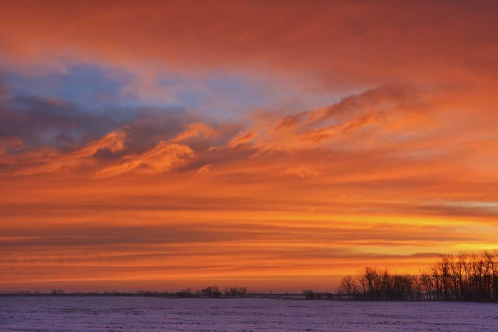 Canada, Deacons Corner Sunrise over the prairie art print by Mike Grandmaison for $57.95 CAD