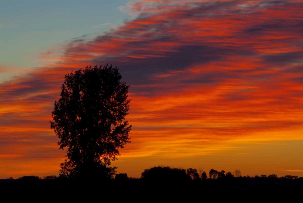 Canada, Portage La Prairie Trees at sunrise art print by Mike Grandmaison for $57.95 CAD