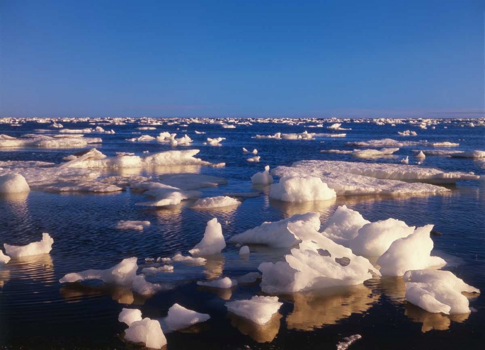 Canada, Churchill, ice floe in Hudson Bay art print by Mike Grandmaison for $57.95 CAD