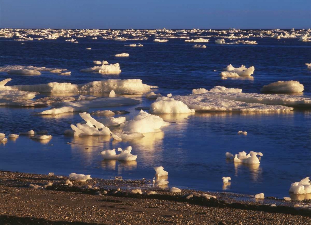 Canada, Churchill, ice floe in Hudson Bay art print by Mike Grandmaison for $57.95 CAD
