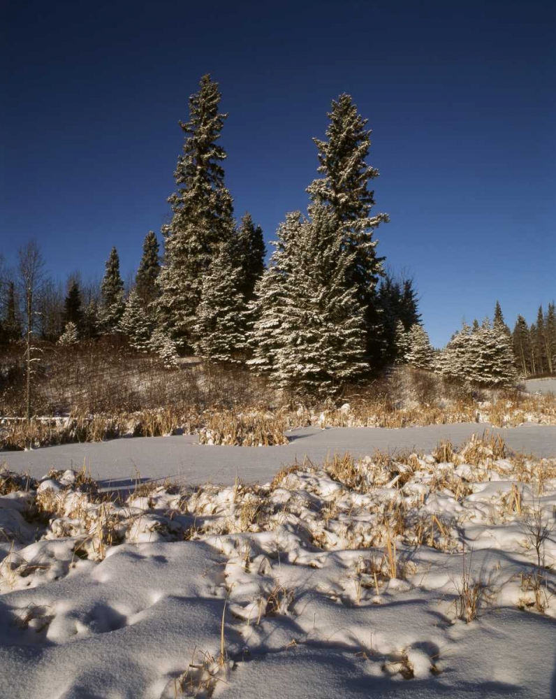 Canada, Manitoba, Riding Mountain NP art print by Mike Grandmaison for $57.95 CAD