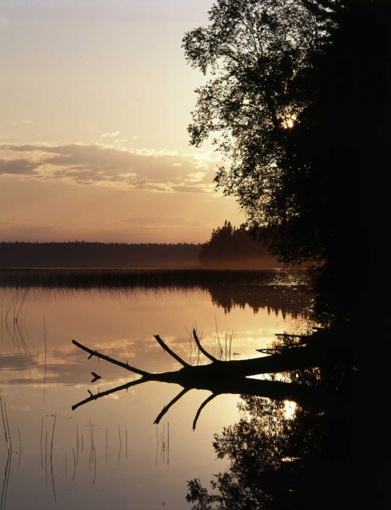 Canada, Manitoba, Childs lake in Duck Mountain PP art print by Mike Grandmaison for $57.95 CAD