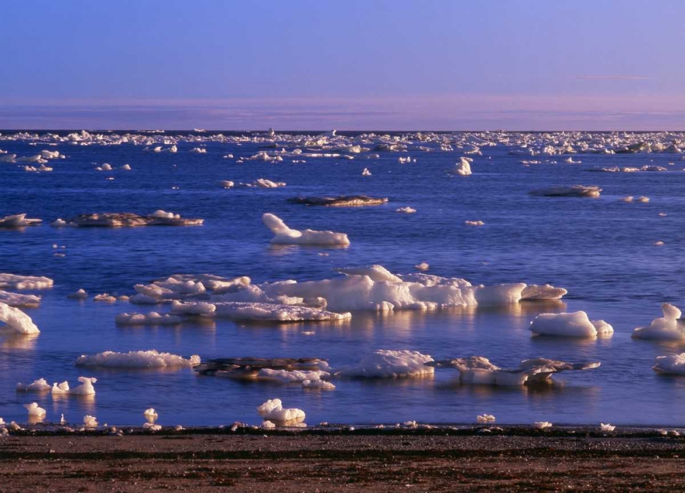 Canada, Churchill, ice floe in Hudson Bay art print by Mike Grandmaison for $57.95 CAD