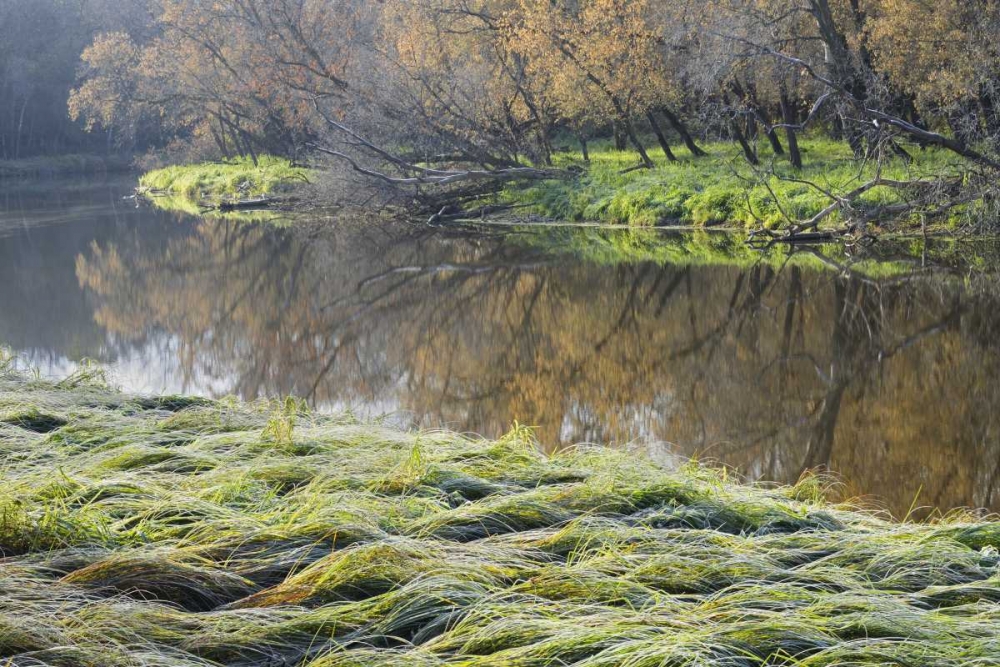 Canada Manitoba Fall on shore of LaSalle River art print by Mike Grandmaison for $57.95 CAD