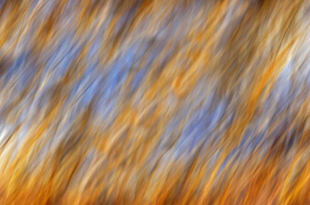 Canada, Manitoba Abstract of autumn leaves art print by Mike Grandmaison for $57.95 CAD