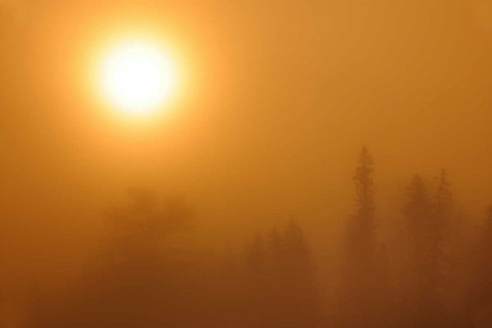 Canada, Manitoba Sunrise fog at Lyons Lake art print by Mike Grandmaison for $57.95 CAD