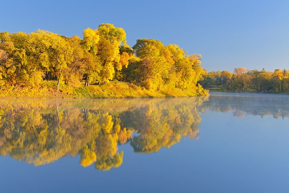 Canada-Manitoba-Winnipeg Forest reflected in Red River at sunrise art print by Jaynes Gallery for $57.95 CAD