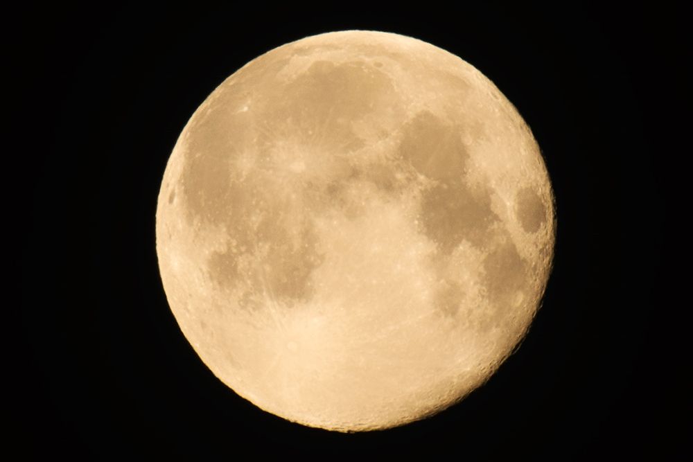Canada-Manitoba-Winnipeg Close-up of full moon art print by Jaynes Gallery for $57.95 CAD