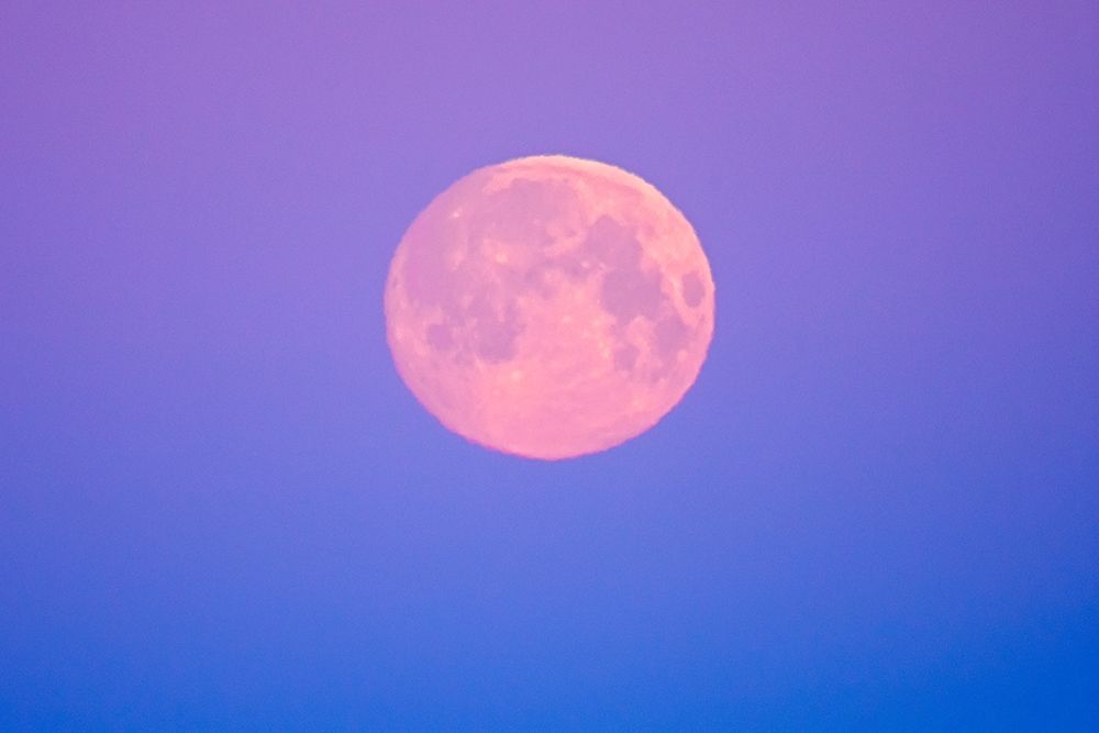 Canada-Manitoba-Dugald Full moon at dawn art print by Jaynes Gallery for $57.95 CAD