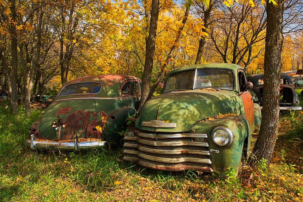Canada-Manitoba-St Lupicin Vintage old vehicles in wrecking yard art print by Jaynes Gallery for $57.95 CAD