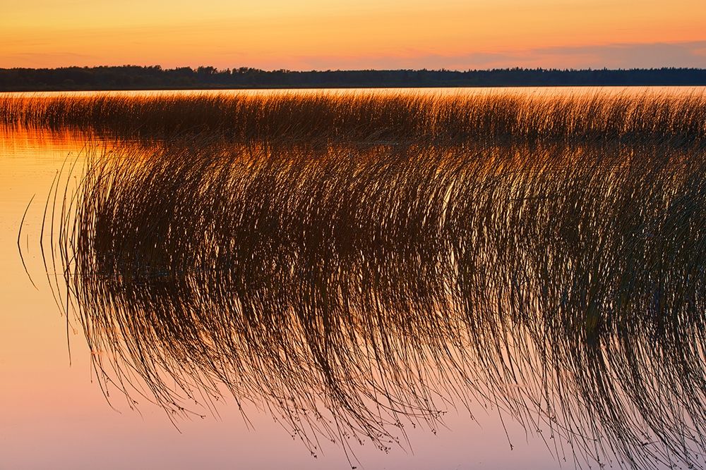 Manitoba Art prints and posters