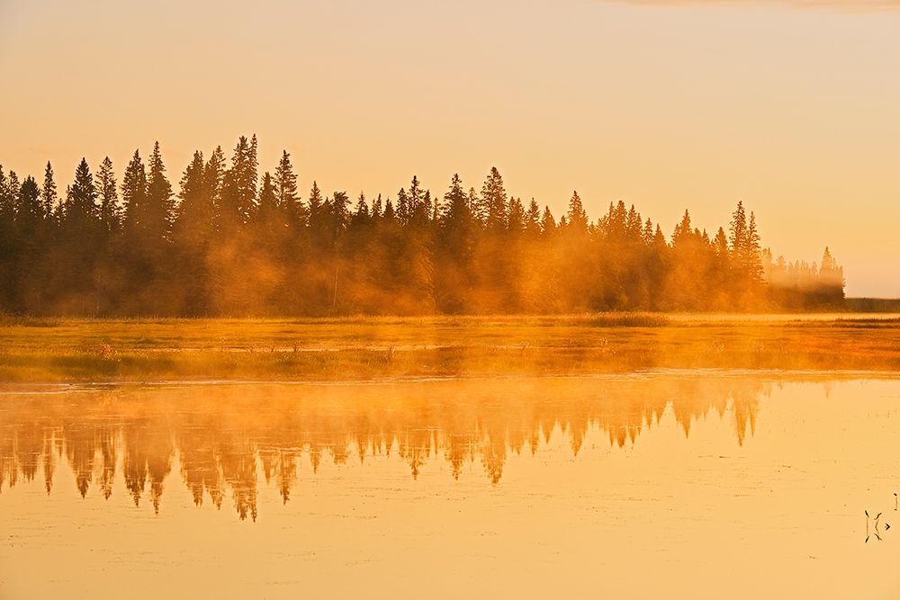 Canada-Manitoba-Riding Mountain National Park Fog rising above Whirlpool Lake at sunrise art print by Jaynes Gallery for $57.95 CAD