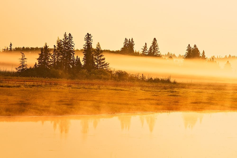 Canada-Manitoba-Riding Mountain National Park Fog rising above Whirlpool Lake at sunrise art print by Jaynes Gallery for $57.95 CAD