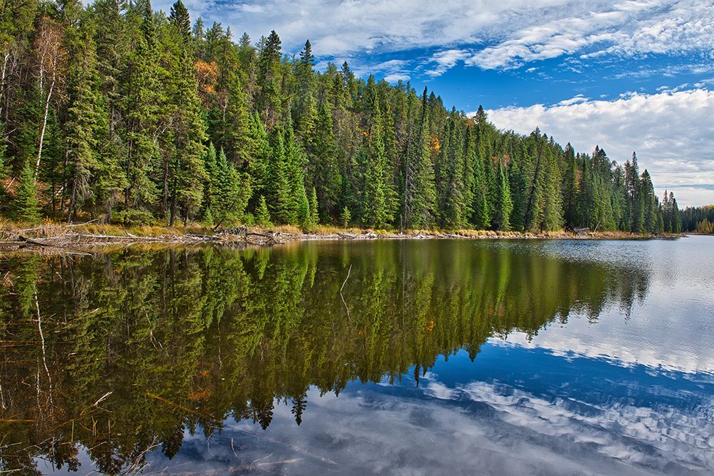 Canada- Manitoba. Prieston Lake Duck Mountain Provincial Park. art print by Jaynes Gallery for $57.95 CAD