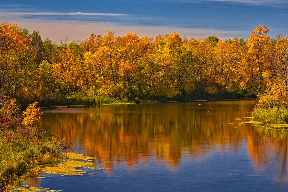 Canada- Manitoba. Autumn scene- Grindstone Point Road and Hwy 8. art print by Jaynes Gallery for $57.95 CAD