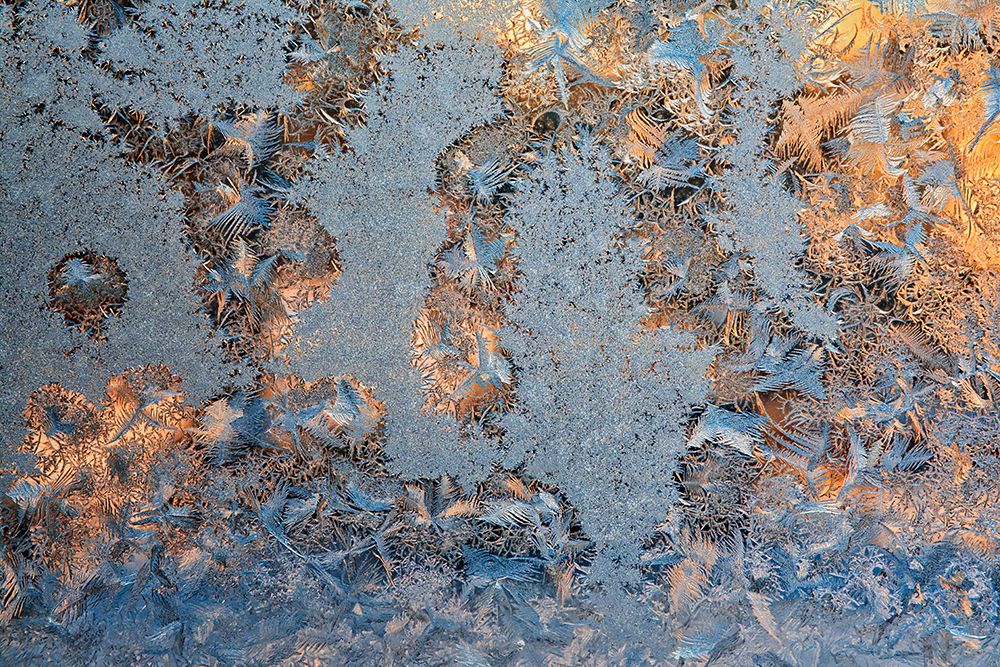 Canada-Manitoba-Winnipeg Sunrise on window frost patterns in winter art print by Jaynes Gallery for $57.95 CAD