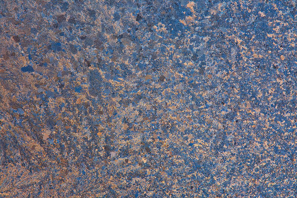 Canada-Manitoba-Winnipeg Sunrise on window frost patterns in winter art print by Jaynes Gallery for $57.95 CAD