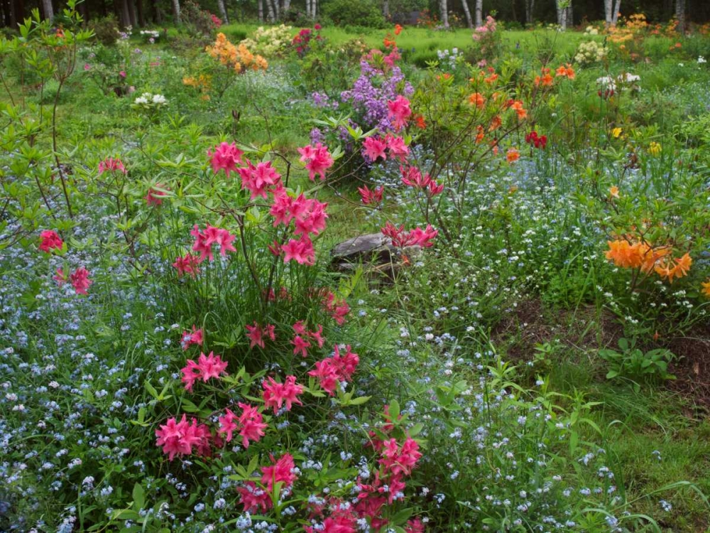 Canada, New Brunswick, Beautiful garden flowers art print by Ellen Anon for $57.95 CAD