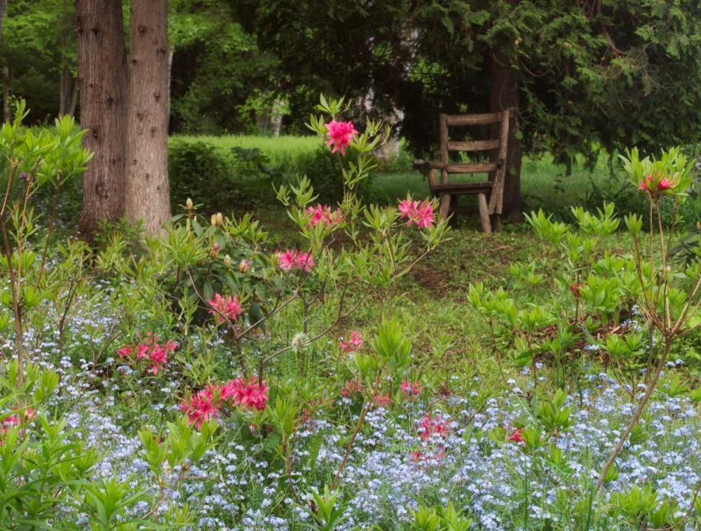 Canada, New Brunswick, garden and forest art print by Ellen Anon for $57.95 CAD