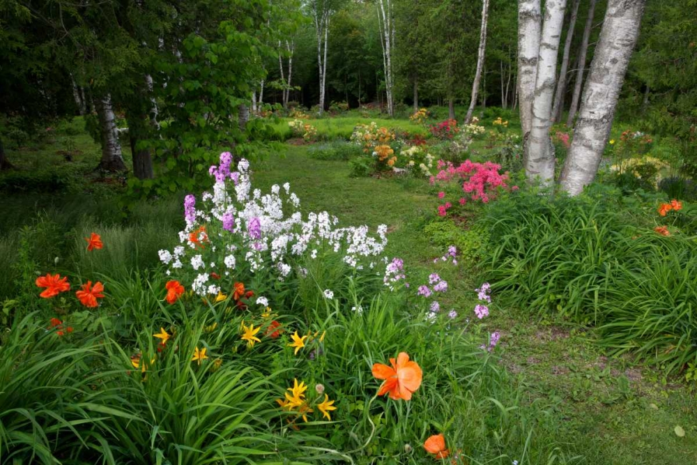 Canada, New Brunswick Garden scenic art print by Ellen Anon for $57.95 CAD