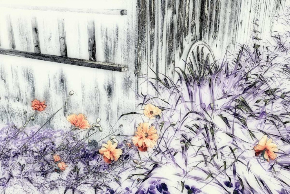 Canada Abstract of wooden building and garden art print by Ellen Anon for $57.95 CAD