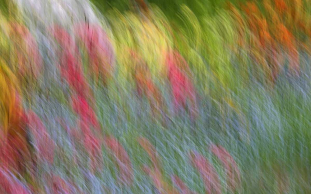 Canada Abstract blur of garden colors art print by Ellen Anon for $57.95 CAD